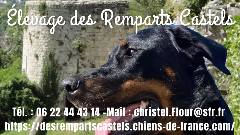 Des Remparts Castels - Page Facebook 